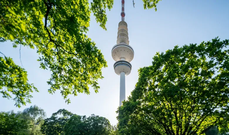 Blick durch grüne Baumkronen auf den Hamburger Fernsehturm vor blauem Himmel.