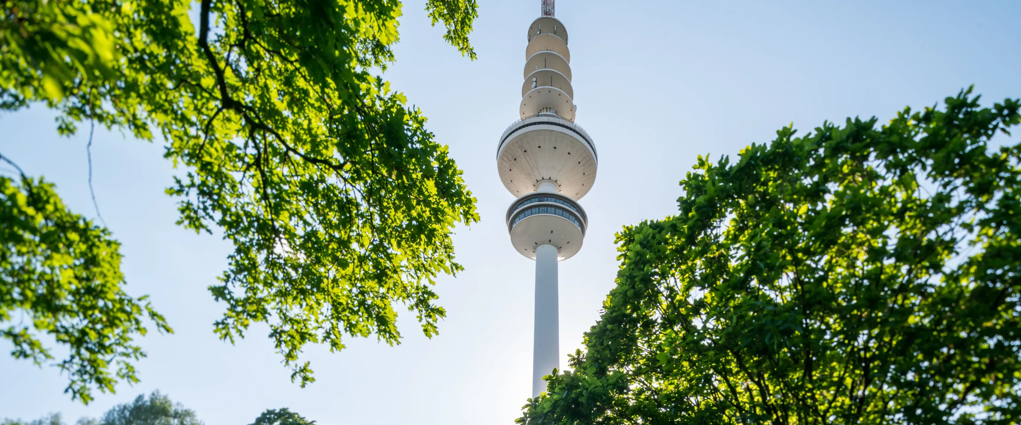 Blick durch grüne Baumkronen auf den Hamburger Fernsehturm vor blauem Himmel.